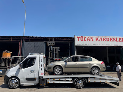 Aslan Oto Kurtarıcı yol yardım