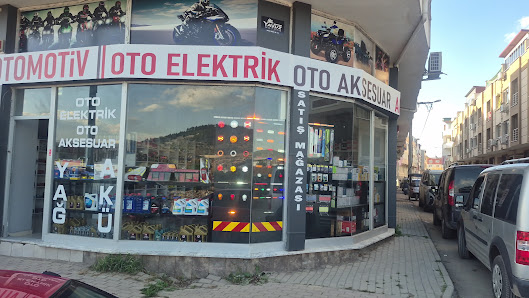Bursa 16 Otomotiv – Moll Akü Yetkili Servisi & Yol Yardım