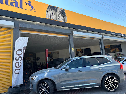 Continental – Nesa Lastik