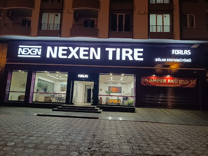 FORLAS NEXEN Lastik, Akü ve Araç Periyodi Bakım Servisi