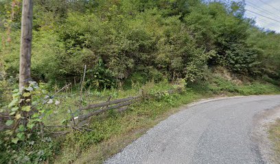 Giresun Aksular Vinç Kiralama