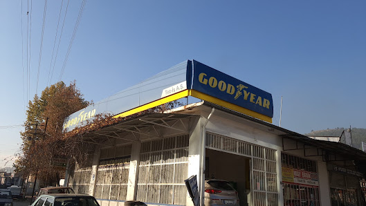 Goodyear-teziş Oto Lastik