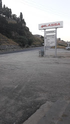 Lassa – Yetişkin Ticaret