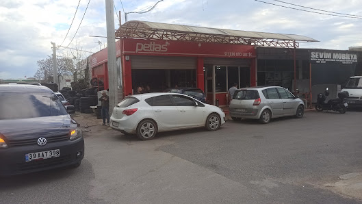 LastikPark – Seçkin Oto Galari
