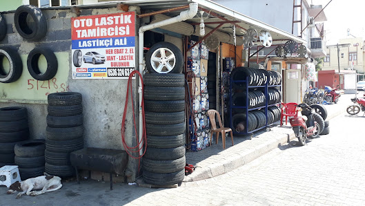Lastikçi Ali