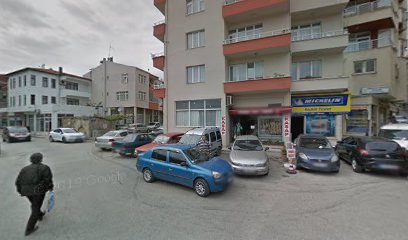 Michelin – Seçkin Ticaret