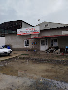 Nokta Araç Taşıma