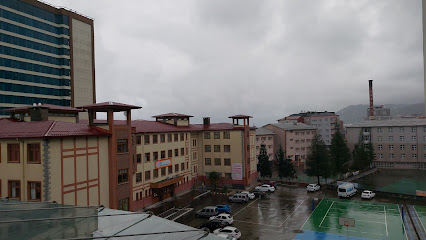 Rize Sanayi Sitesi