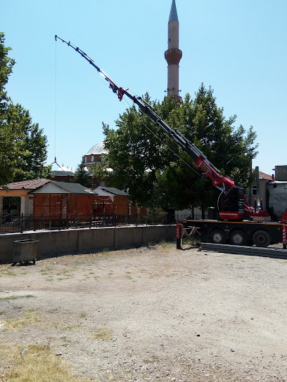 Şahin Kurtarma